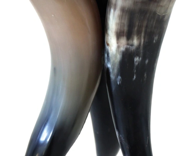 TRIPOD HORN Подсвечник H: 18 cm | W: 18 cm | D: 18 cm, рог