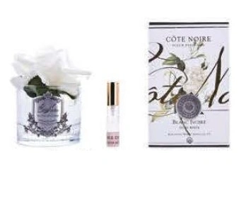 Роза-диффузор FRENCH ROSE ivory, слоновая кость, прозрачная ваза, 1 спрей 10мл