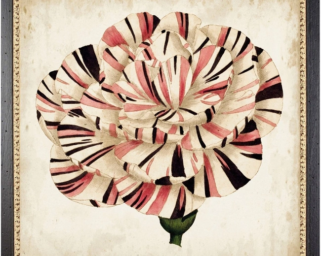 POP FLORALПостер 58х58