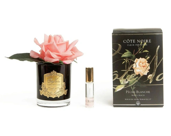Роза-диффузор FRENCH ROSE white peach , коралловый, черная ваза, 1 спрей 10мл