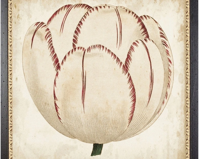 POP FLORALПостер 58х58