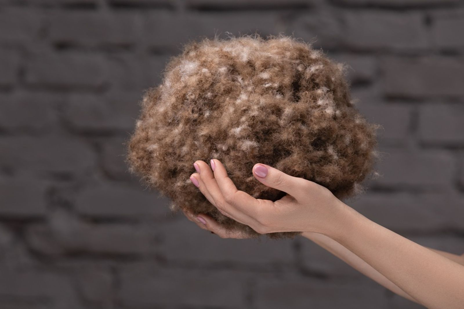 Одеяло из пуха гаги EXCLUSIVE SILK EIDER DOWN всесезонное 240x220 вид 10