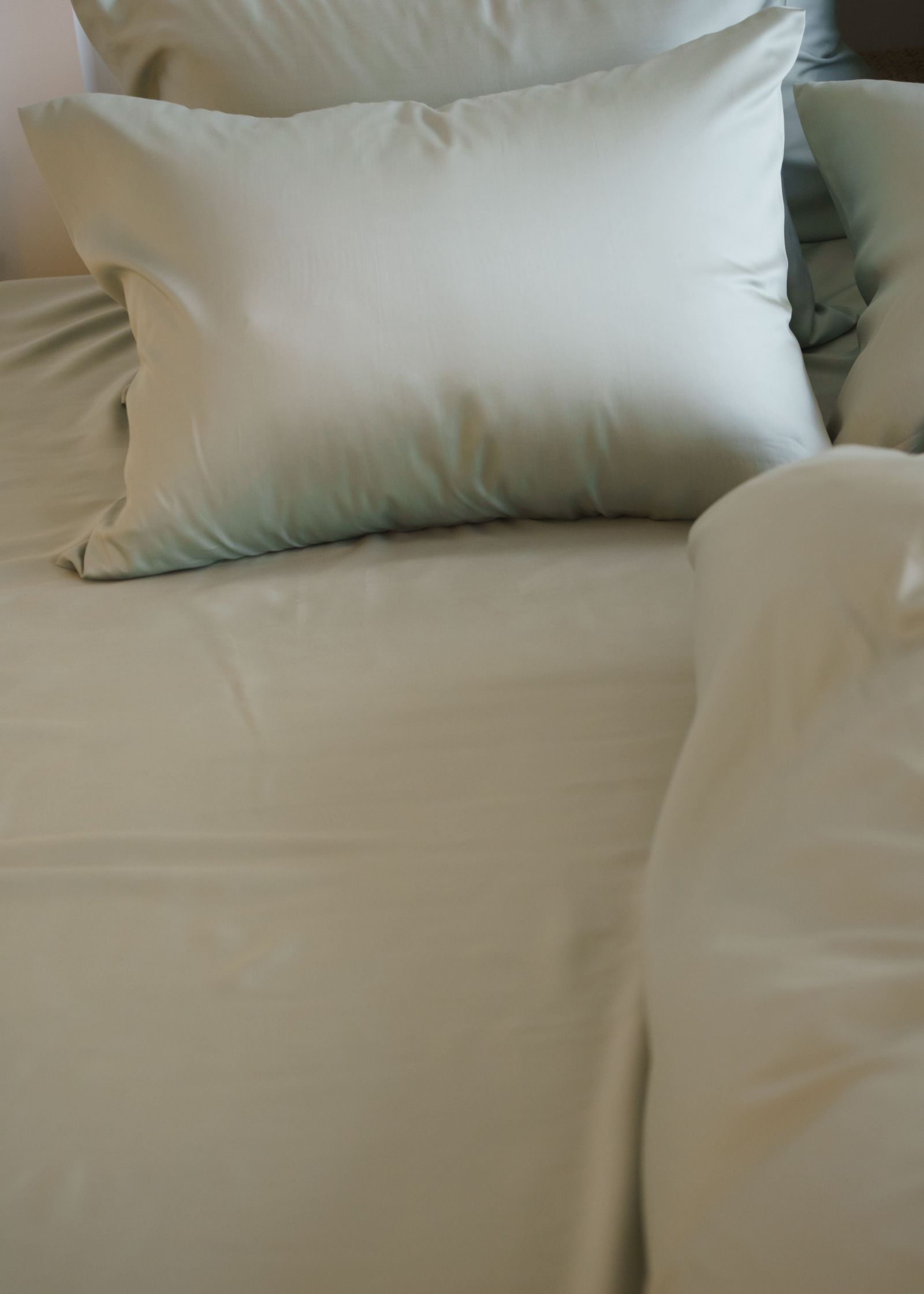 Простыня на резинке Olive Brilliant Grass 180x200x40 вид 5