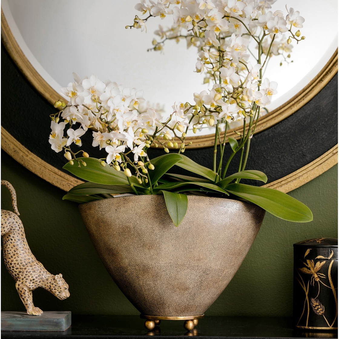 Ваза-кашпо, бежевый, 30х17 H24, керамика, основание бронза