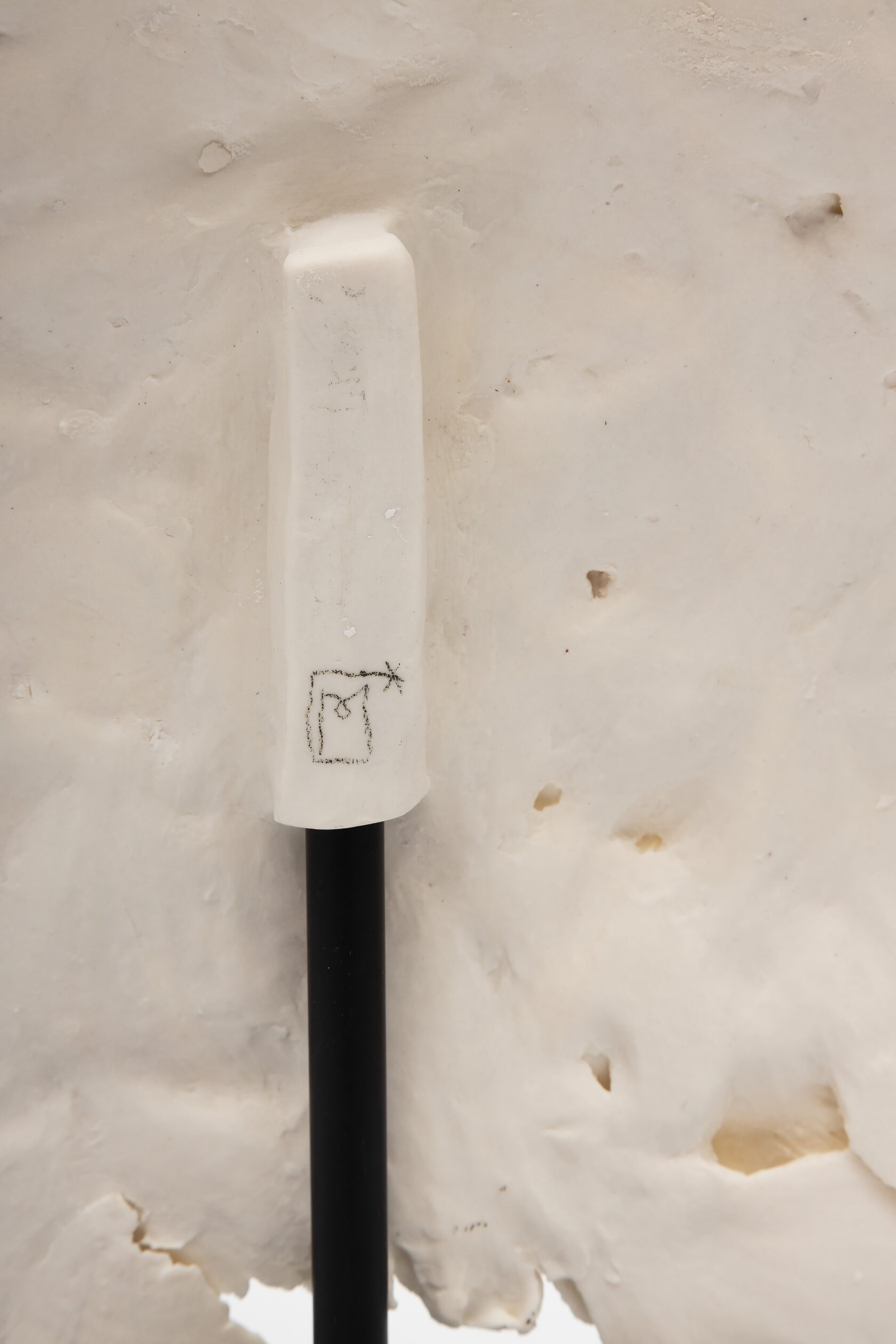 Скульптура FLEUR DE MER, фарфор вид 5