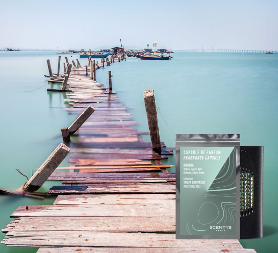 IKEBANA Ароматическая капсула