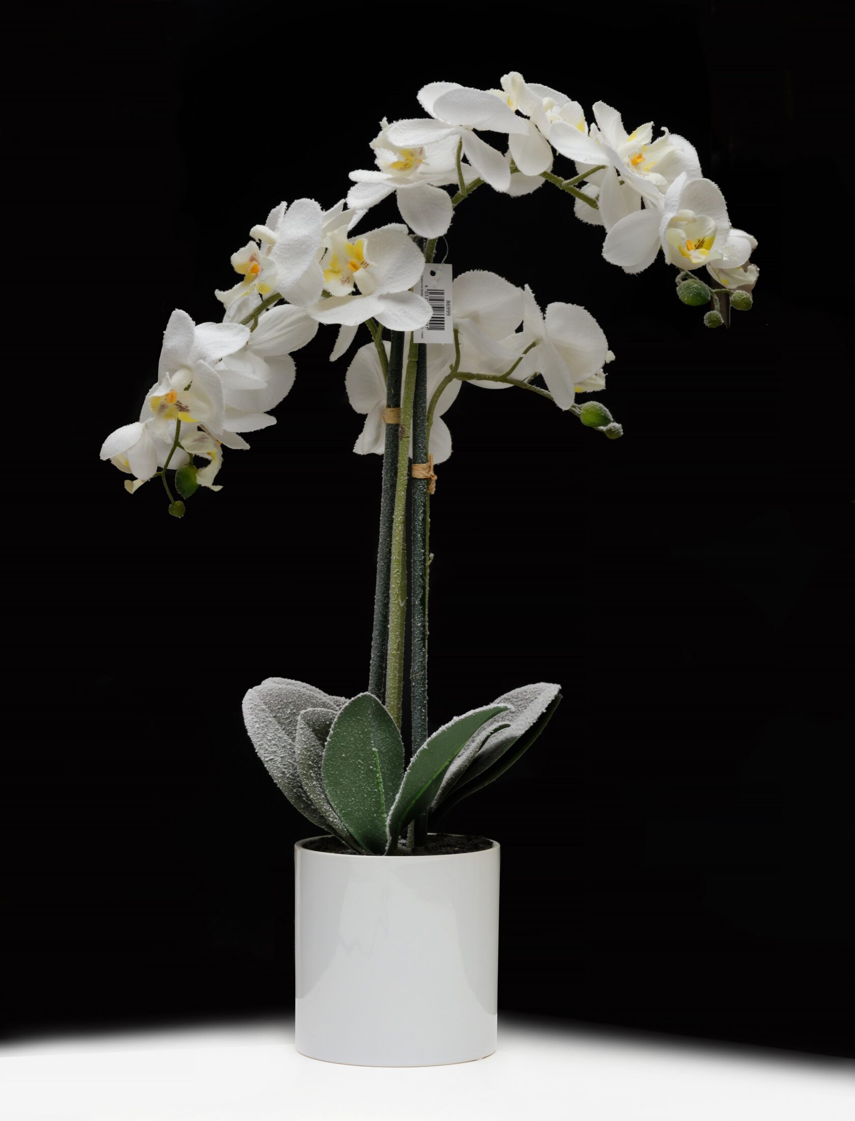 ORCHID 3 Орхидея заснеженная 3 ветки в керамическом кашпо выс 58 см