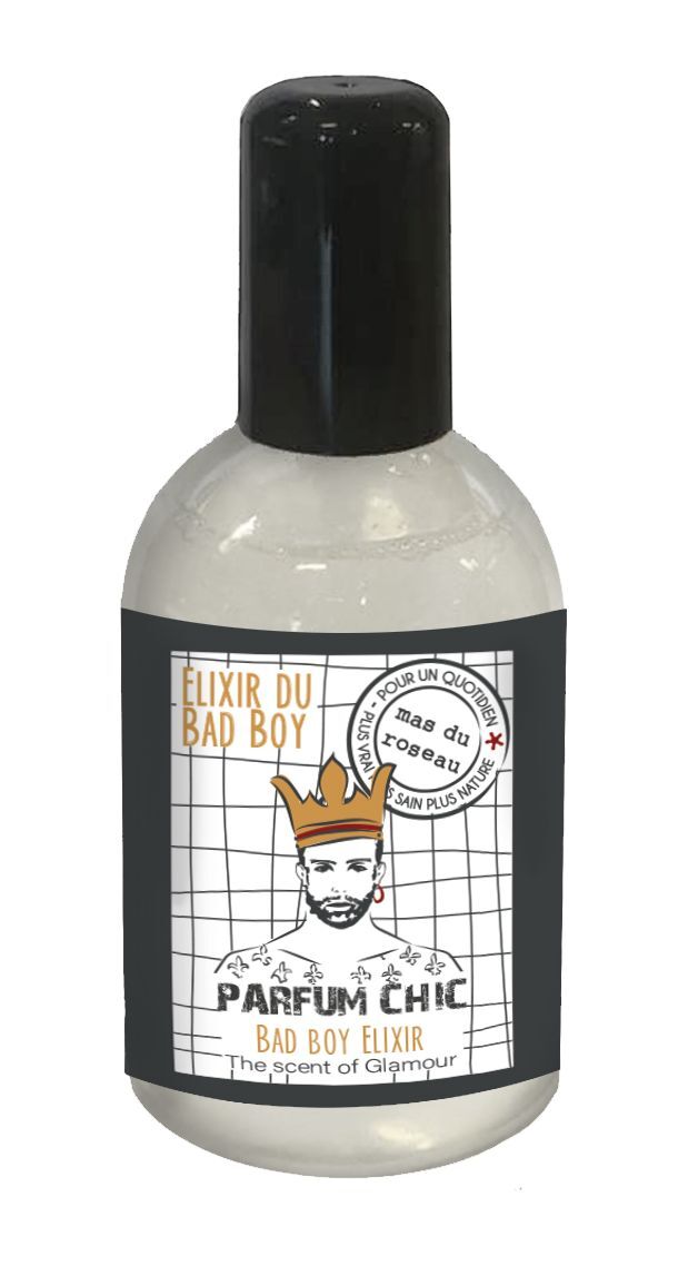 BAD BOY Набор для мужчин мыло 100гр, парфюмированный спрей для тела CHIC 100 мл, подставка для мыла вид 4