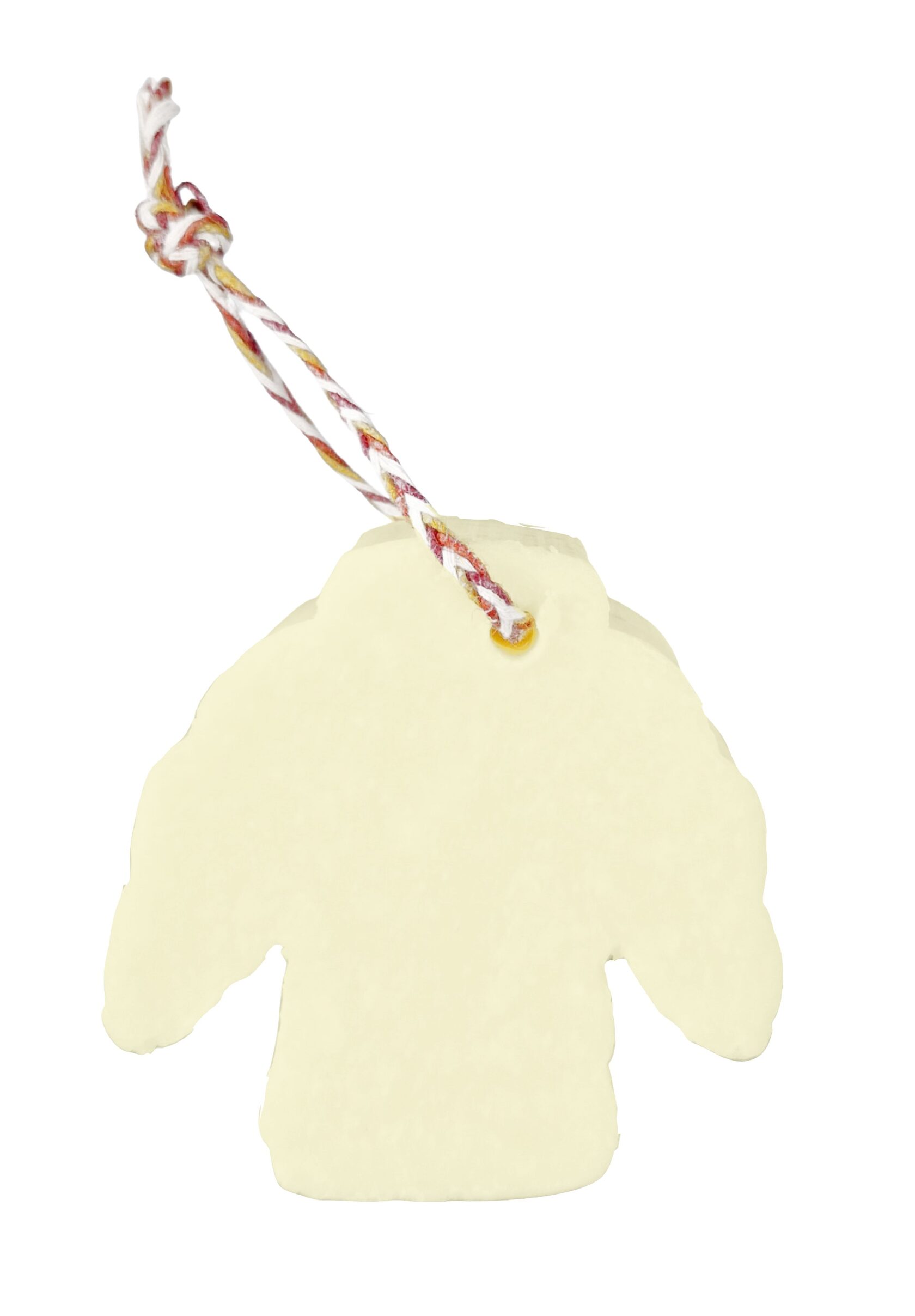 VERVEINE Мыло деодорирующее для подвешивания на плечики для одежды 200 гр, аромат вербена вид 2