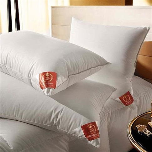 Подушка трехкамерная мягкая DOWN SURROUND 50/70, пух/перо, Brinkhaus, Германия