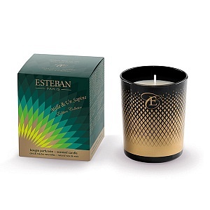 ДЕКОРАТИВНАЯ АРОМАСВЕЧА 1000 И 1 ЕЛЬ, 170 Г