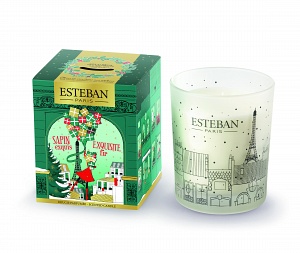 Декоративная арома свеча мокка 170 г ПРАЗДНИЧНАЯ ХВОЯ